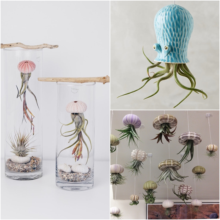 Ideias criativas para decorar com plantas (ou polvo")